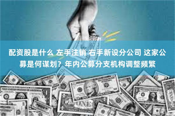 配资股是什么 左手注销 右手新设分公司 这家公募是何谋划？年内公募分支机构调整频繁