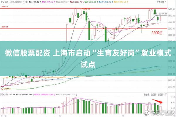 微信股票配资 上海市启动“生育友好岗”就业模式试点