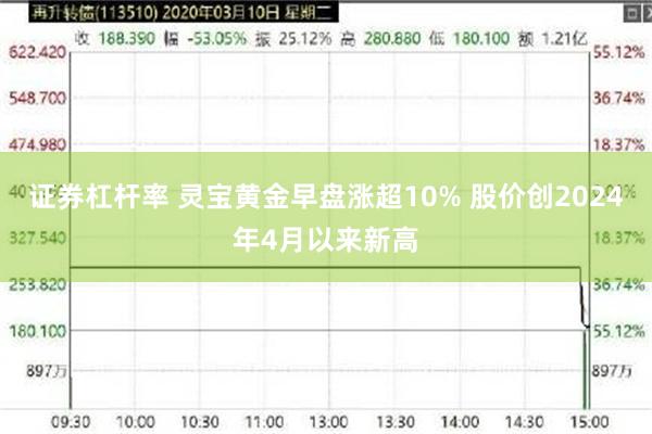 证券杠杆率 灵宝黄金早盘涨超10% 股价创2024年4月以来新高