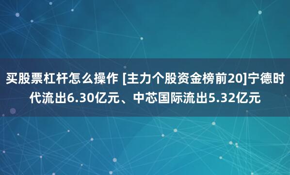 买股票杠杆怎么操作 [主力个股资金榜前20]宁德时代流出6.30亿元、中芯国际流出5.32亿元