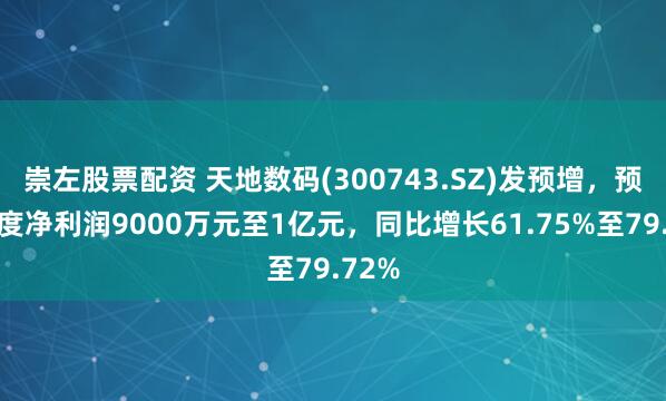 崇左股票配资 天地数码(300743.SZ)发预增，预计年度净利润9000万元至1亿元，同比增长61.75%至79.72%