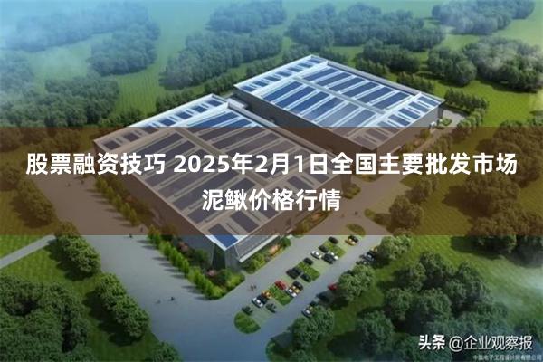 股票融资技巧 2025年2月1日全国主要批发市场泥鳅价格行情