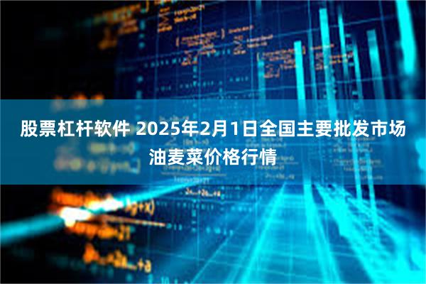 股票杠杆软件 2025年2月1日全国主要批发市场油麦菜价格行情