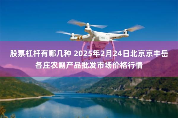 股票杠杆有哪几种 2025年2月24日北京京丰岳各庄农副产品批发市场价格行情