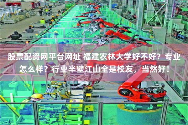 股票配资网平台网址 福建农林大学好不好?专业怎么样?行业半壁江山全是校友,当然好! 股票配资网平台网址 福建农林大学好不好?专业怎么样?行业半壁江山全是校友,当然好!